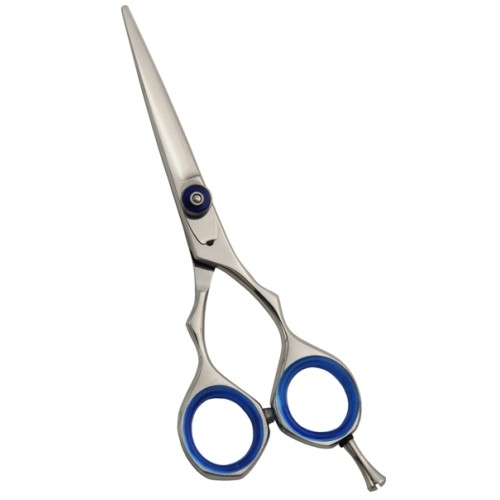 Professional Hair Cutting Scissors